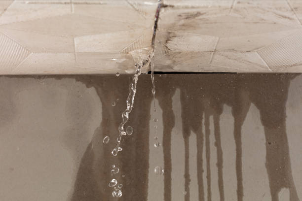 Professional Burst Pipe Cleanup technician working in Washingtonville, OH